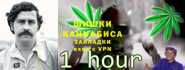 ГАЛЛЮЦИНОГЕННЫЕ ГРИБЫ Нея