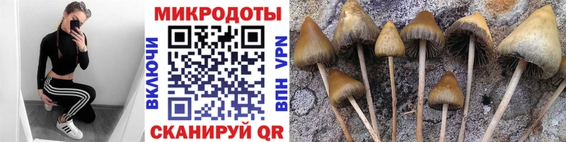 гидра онион  Барыш  Псилоцибиновые грибы ЛСД 